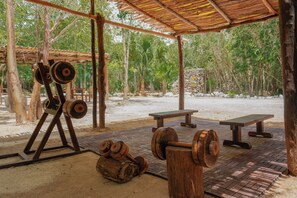 Gimnasio