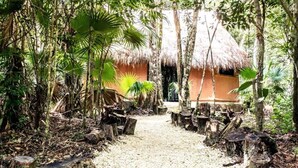 A pathway leading to thatched-roof huts surrounded by dense tropical vegetation. - Jolie Jungle Eco Hotel (Leona Vicario)