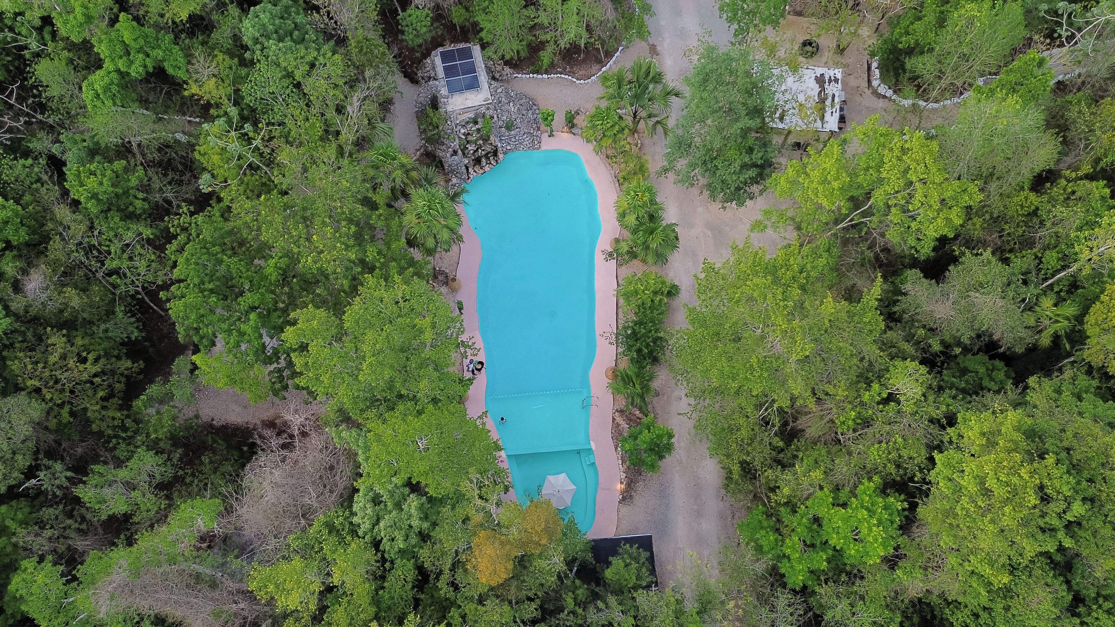 Alberca al aire libre y sombrillas en la alberca 