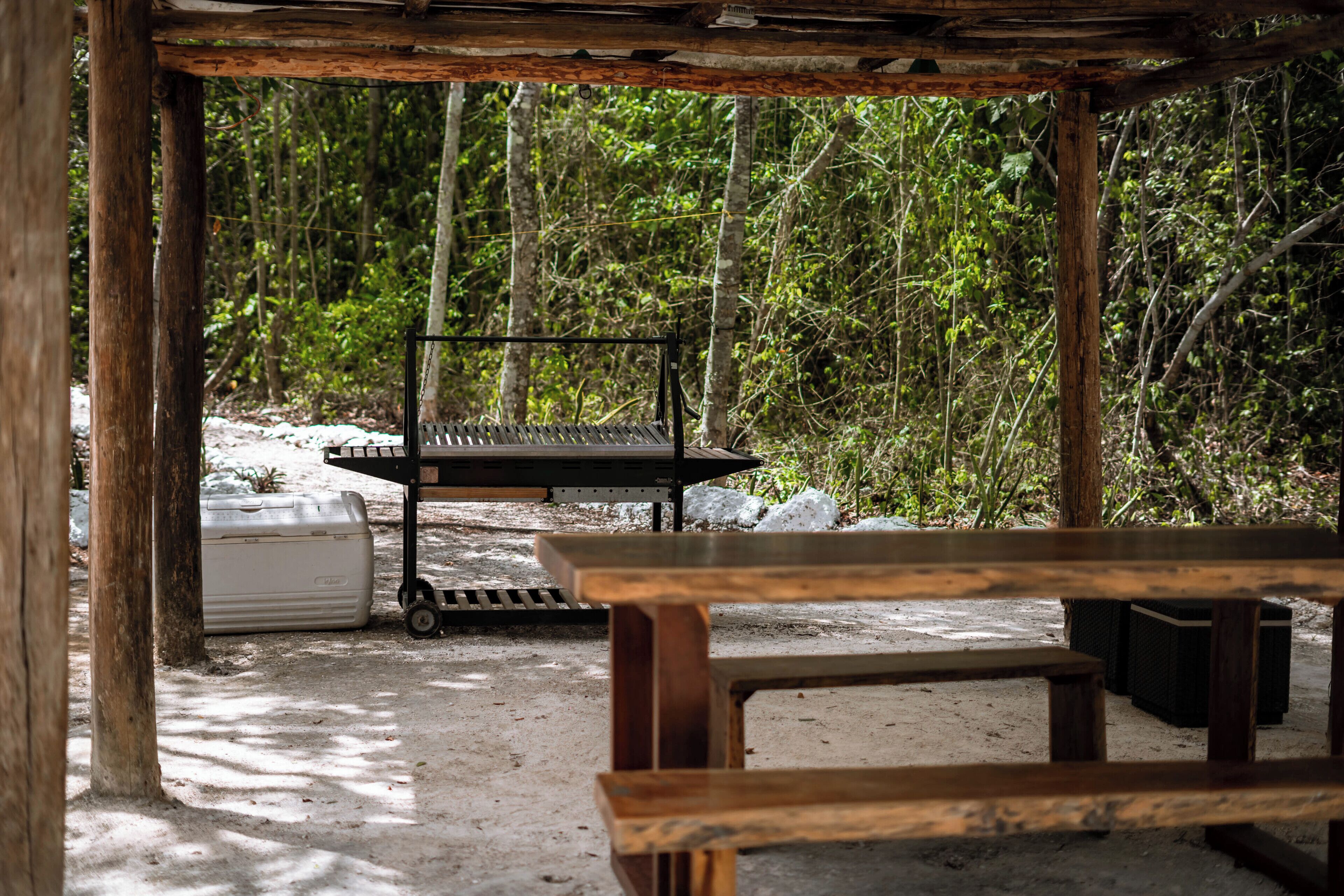 Un espace extérieur aménagé dans un style rustique, avec une table et des bancs en bois, le tout entouré d’arbres.