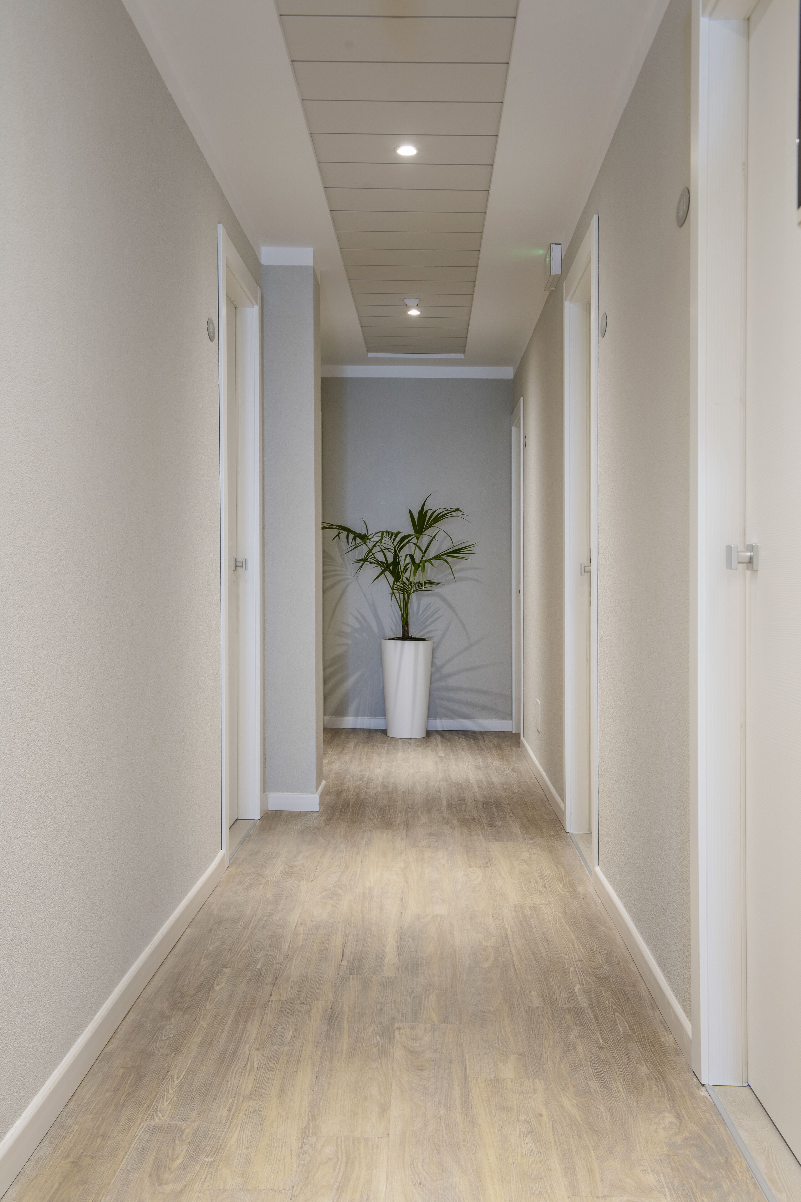 Foto - Hotel Raffaello