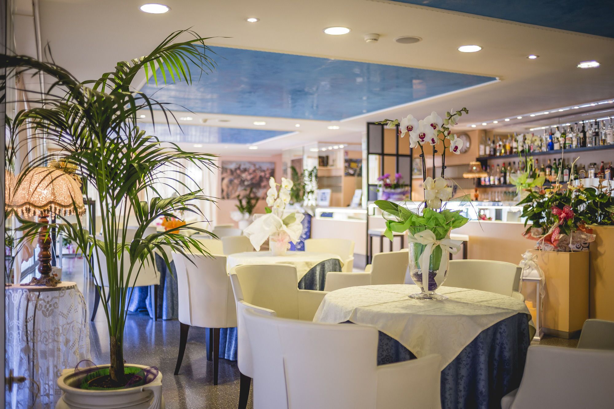 Foto - Hotel Raffaello