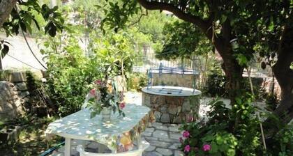 Smile Stella Studios