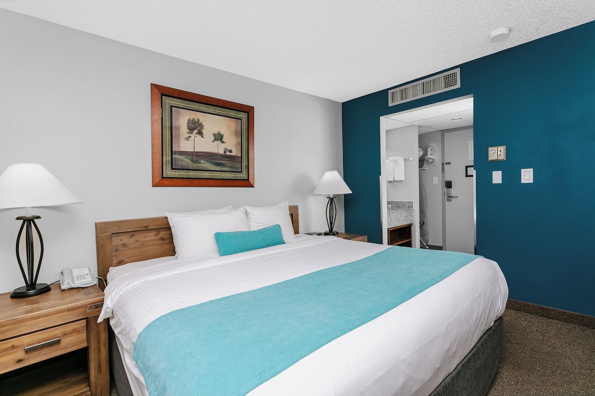 Chambre Standard, 1 très grand lit | 1 chambre, bureau, rideaux occultants, Wi-Fi gratuit
