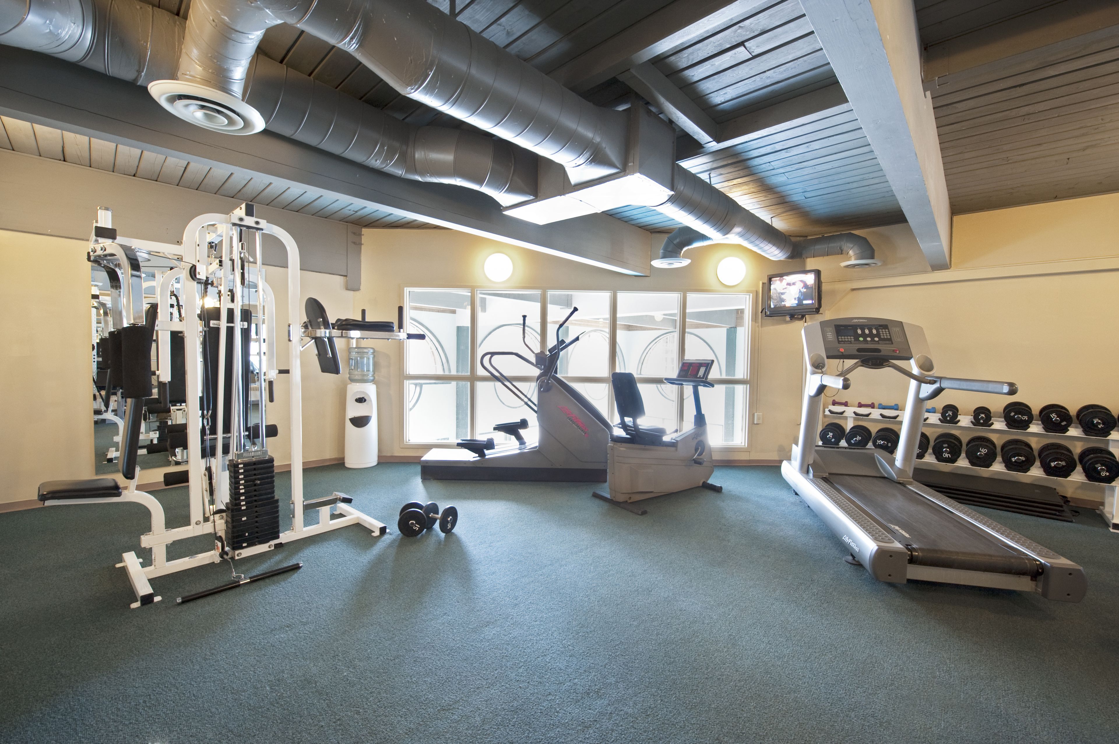Un gimnasio con equipo cardiovascular, máquinas de pesas y mancuernas.