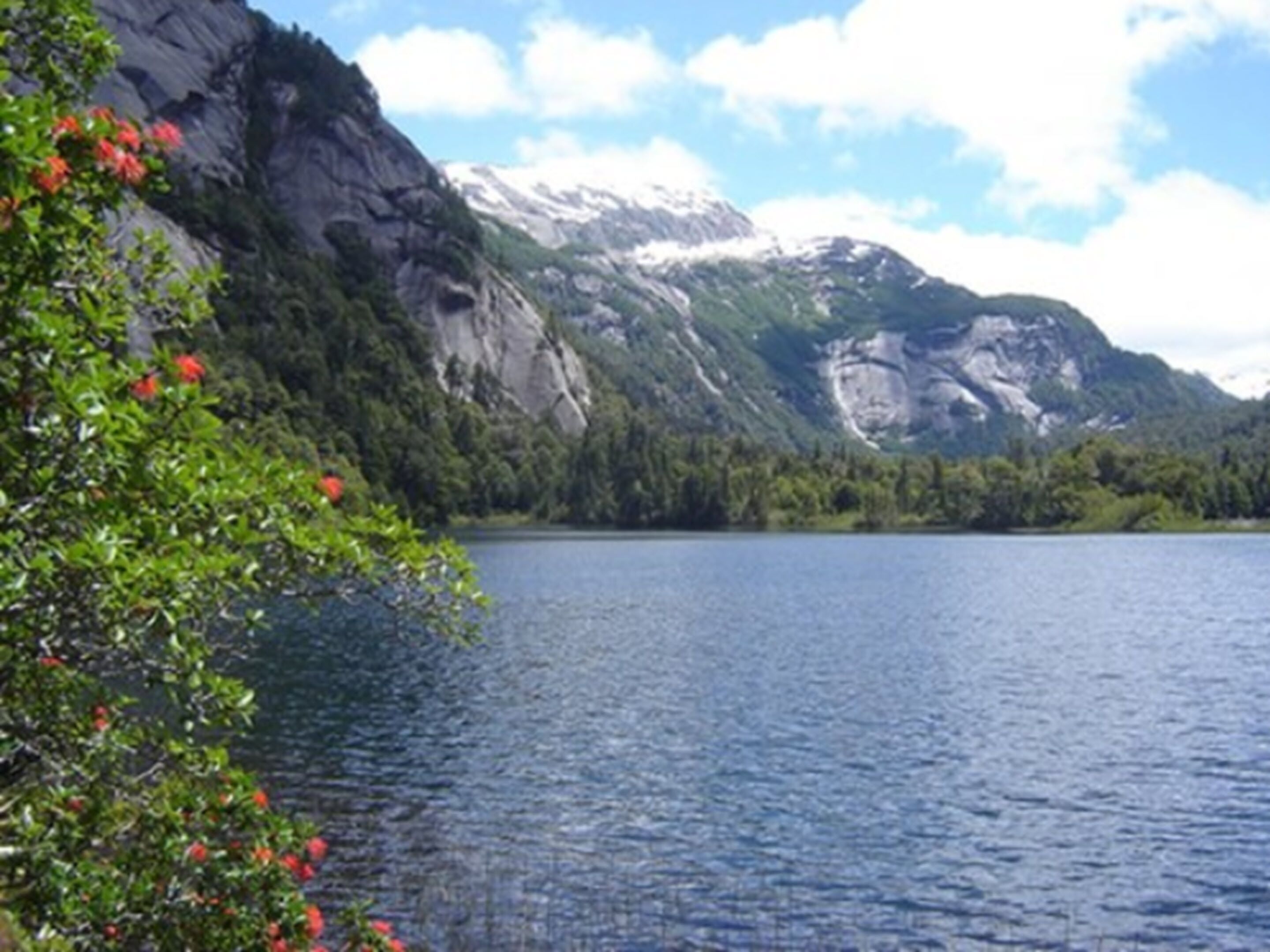 Photo - Lejano Nahuel