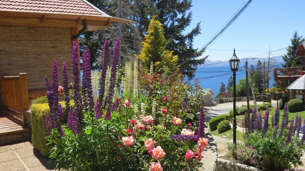 A garden with various flowers and a view of the sea.