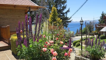 Vista desde la propiedad