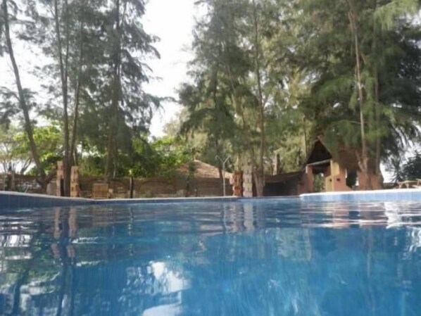 Outdoor pool, pool loungers