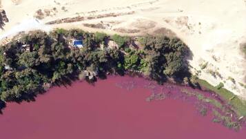 An aerial view of a coastal area with a small building near the water, surrounded by dense vegetation and a sandy beach.
