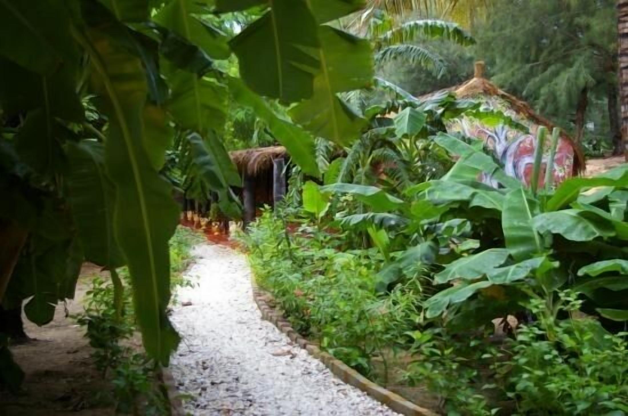 Overnattingsstedets uteområder