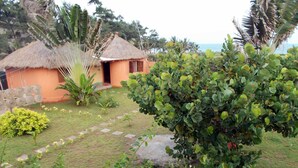 Ein Bungalow mit einem Reetdach, umgeben von üppigem Grün und freiem Blick auf das Meer.