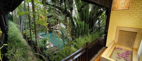 Un exuberante jardín interior con piscina, rodeado de follaje denso y una baranda de madera.