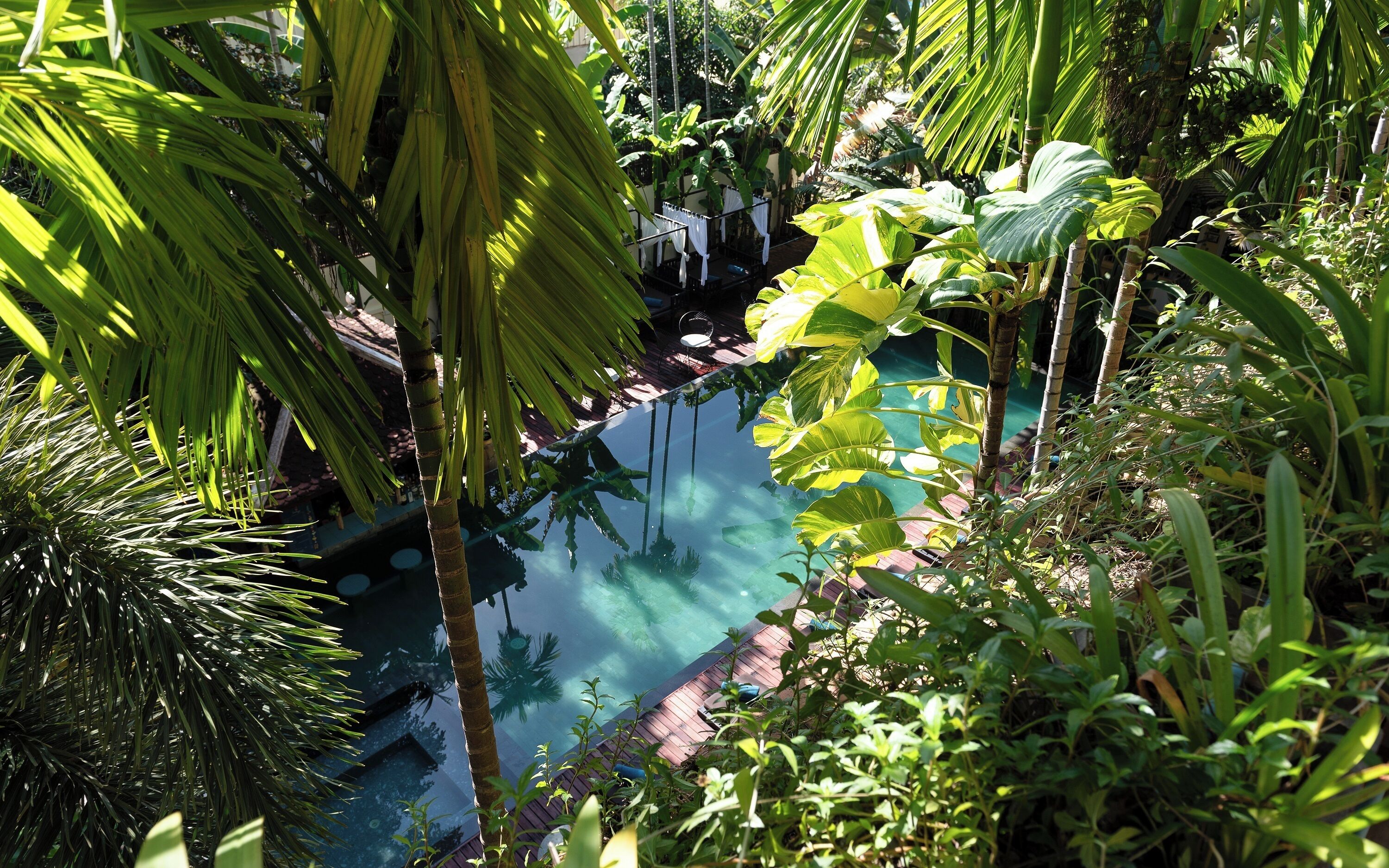 Un exuberante jardín con una piscina cristalina rodeada de abundante follaje y palmeras.