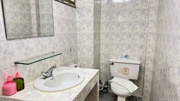 A bathroom with a white sink, a glass shelf, a toilet, and a mirror.