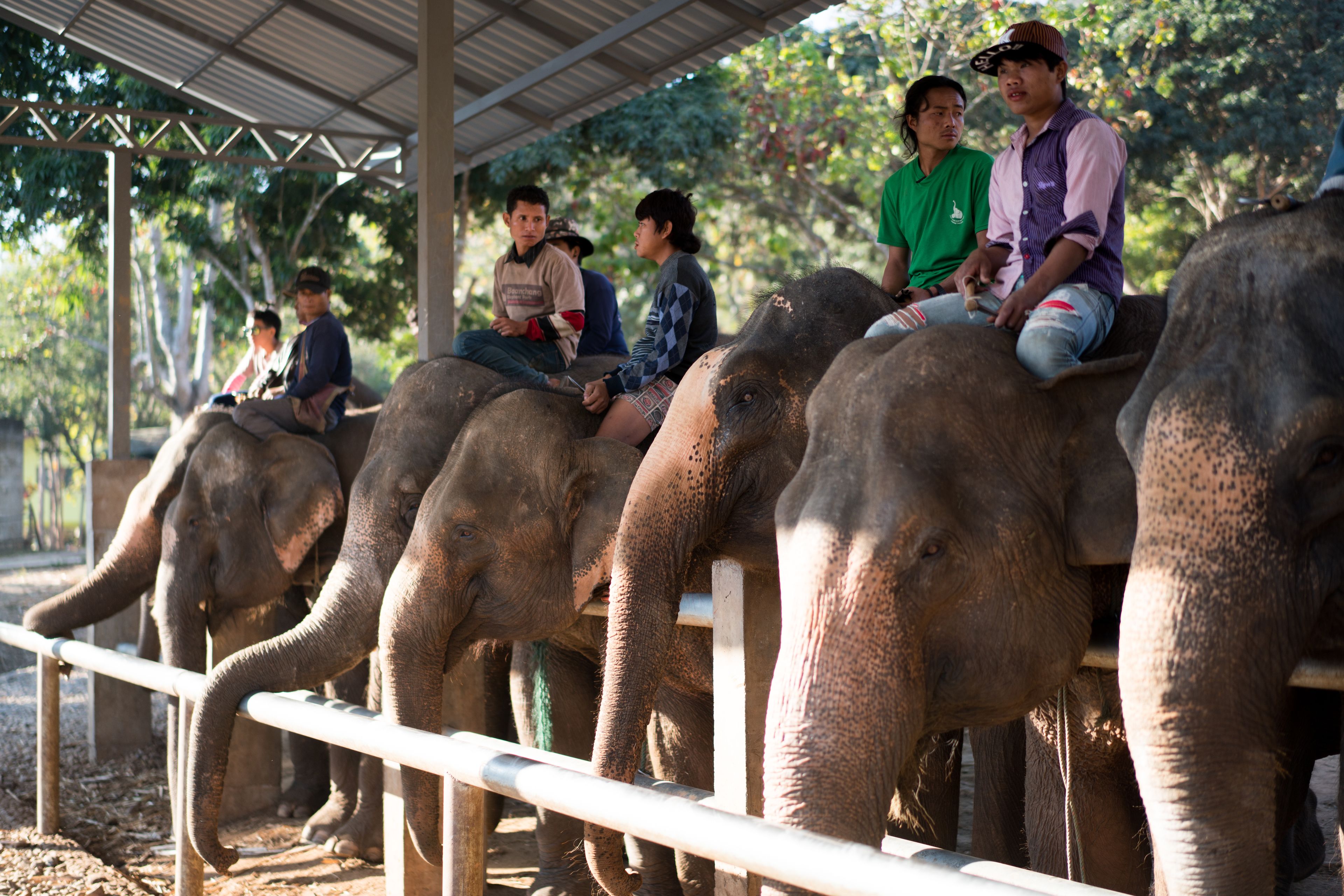 Photo - Collection O Khu Mueang near Tha Phae Gate formerly Lai Thai Guesthouse