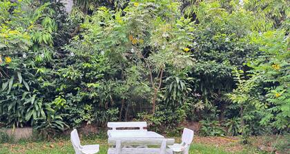 Collection O Khu Mueang near Tha Phae Gate (formerly Lai Thai Guesthouse)