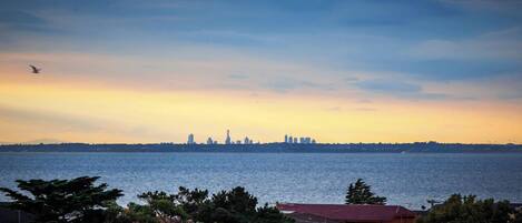 A coastal cityscape with a skyline of buildings, a body of water, and trees in the foreground.