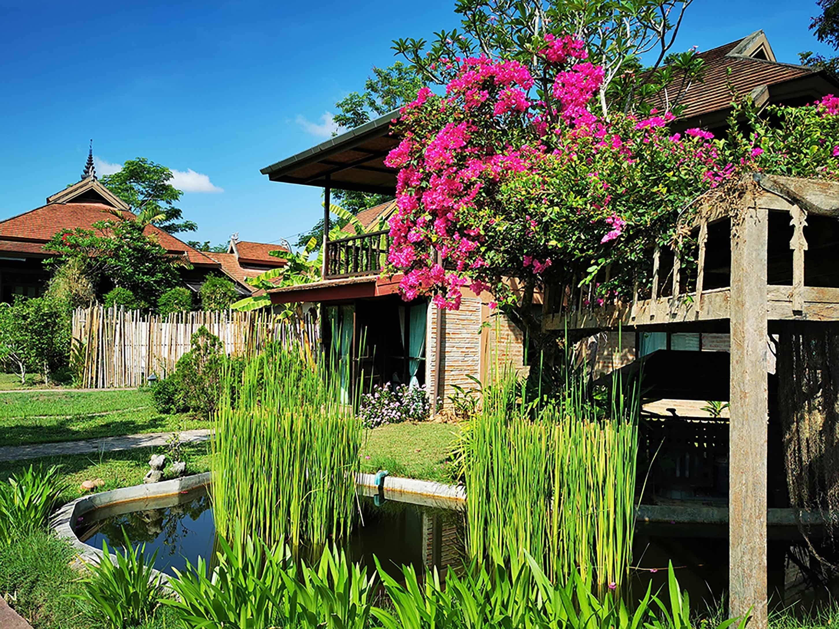 Superior Double or Twin Room, Garden View, Garden Area | Garden view