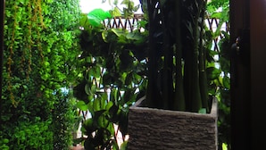 A lush indoor garden with various plants and a wooden bench. - Stella Resort - Hostel (Naha)