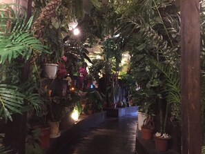 An indoor garden with various potted plants and a wooden walkway. - Stella Resort - Hostel (Naha)