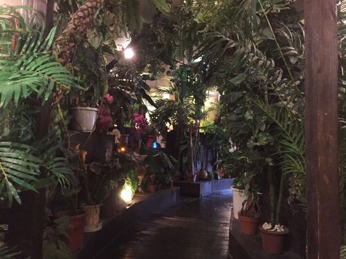 Stella Resort - Hostel