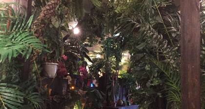 Stella Resort - Hostel