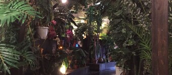 Stella Resort - Hostel