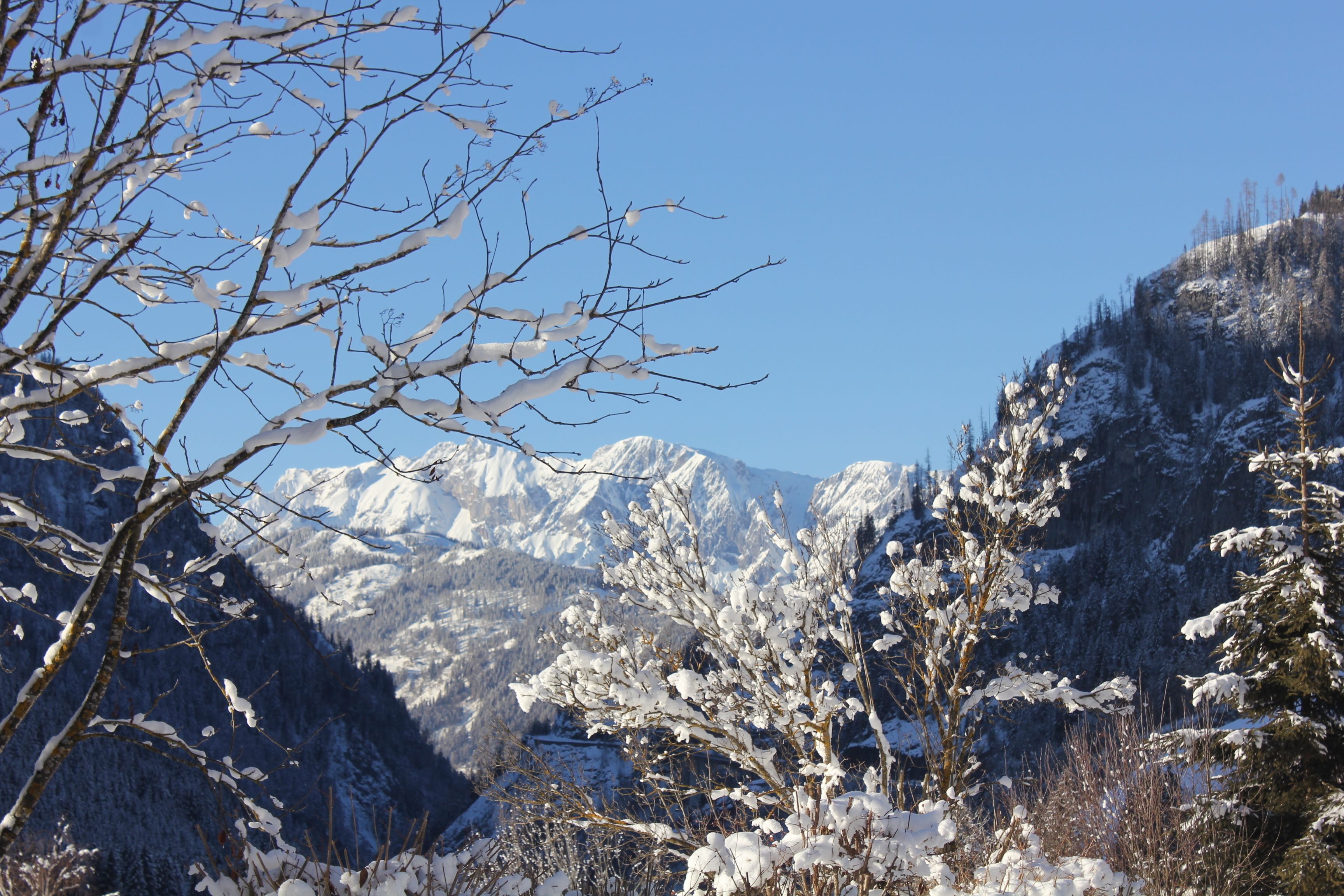 Un paisaje montañoso con árboles cubiertos de nieve y un cielo despejado.