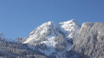 A mountainous landscape with snow-covered peaks and dense forests.