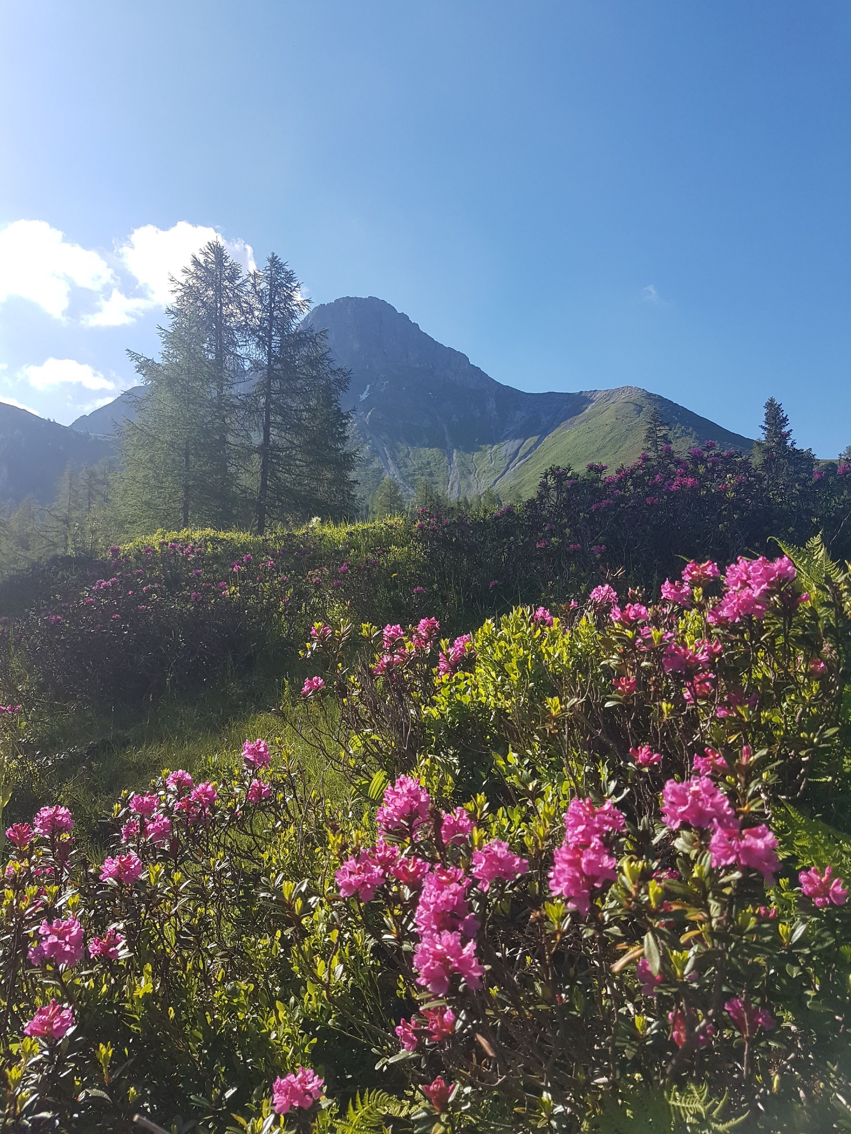 Een bergachtig landschap met een heldere lucht.