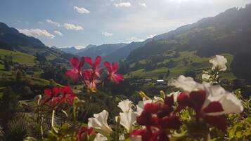 コンフォート ダブルルーム マウンテンビュー (Lavendel) | バルコニーからの眺望