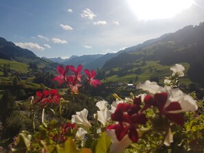Habitación Confort doble, vistas a la montaña (Lavendel) | Vistas del balcón