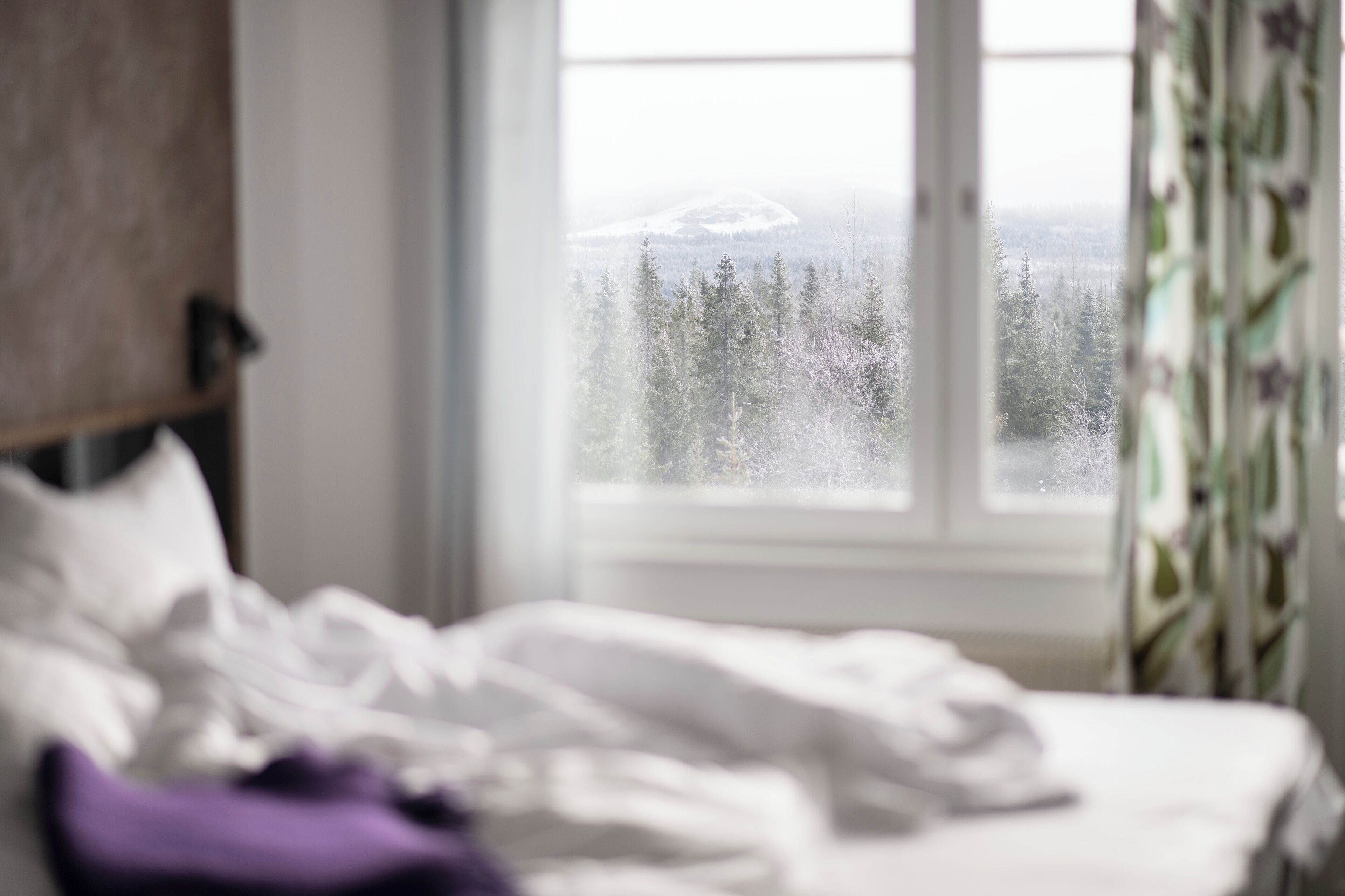 Business dubbelrum eller tvåbäddsrum | Värdeförvaringsskåp på rummet, skrivbord och strykjärn/strykbräda