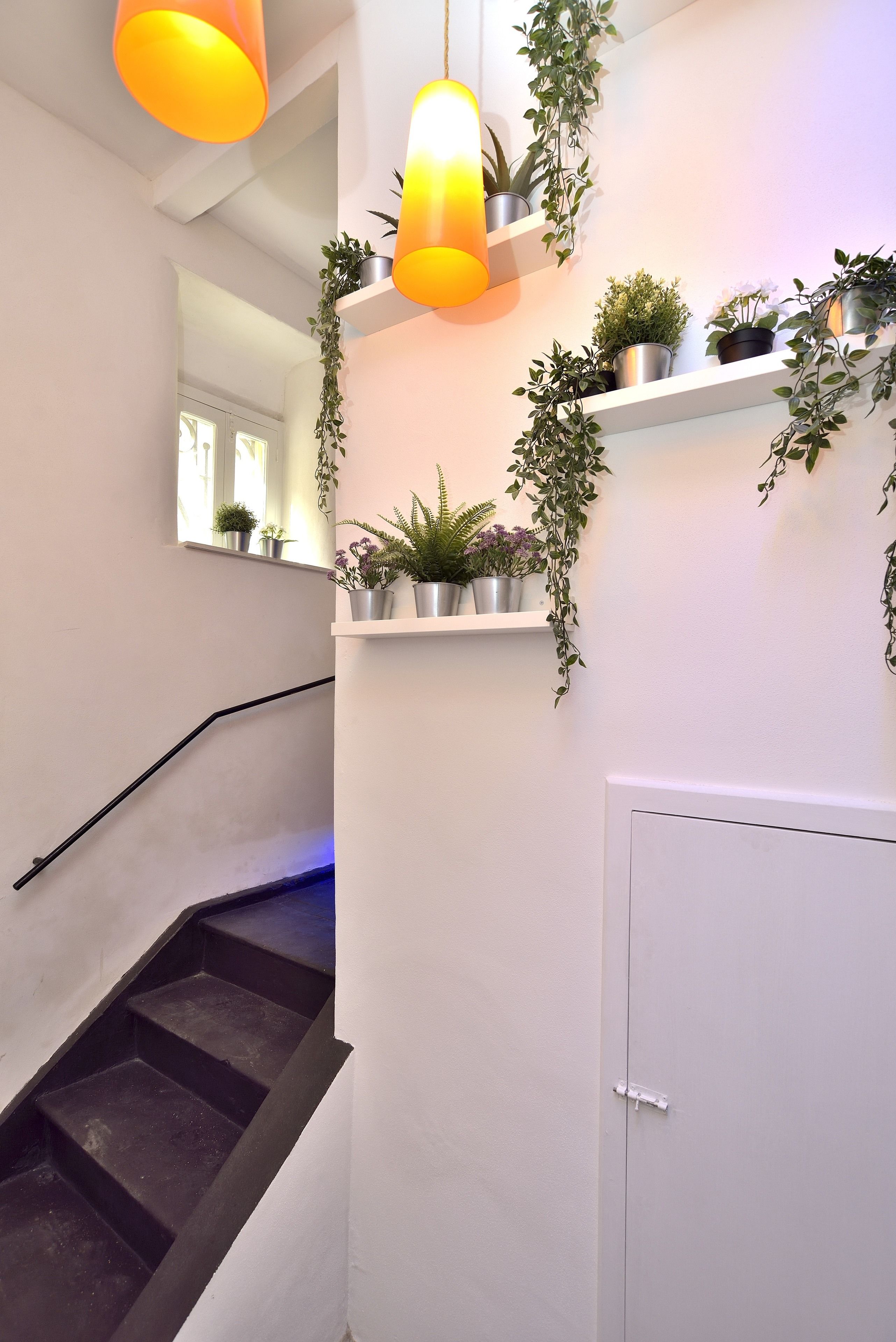 A staircase with black steps and a metal handrail, flanked by white walls and shelves with potted plants.