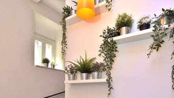 A staircase with black steps and a metal handrail, flanked by white walls and shelves with potted plants.