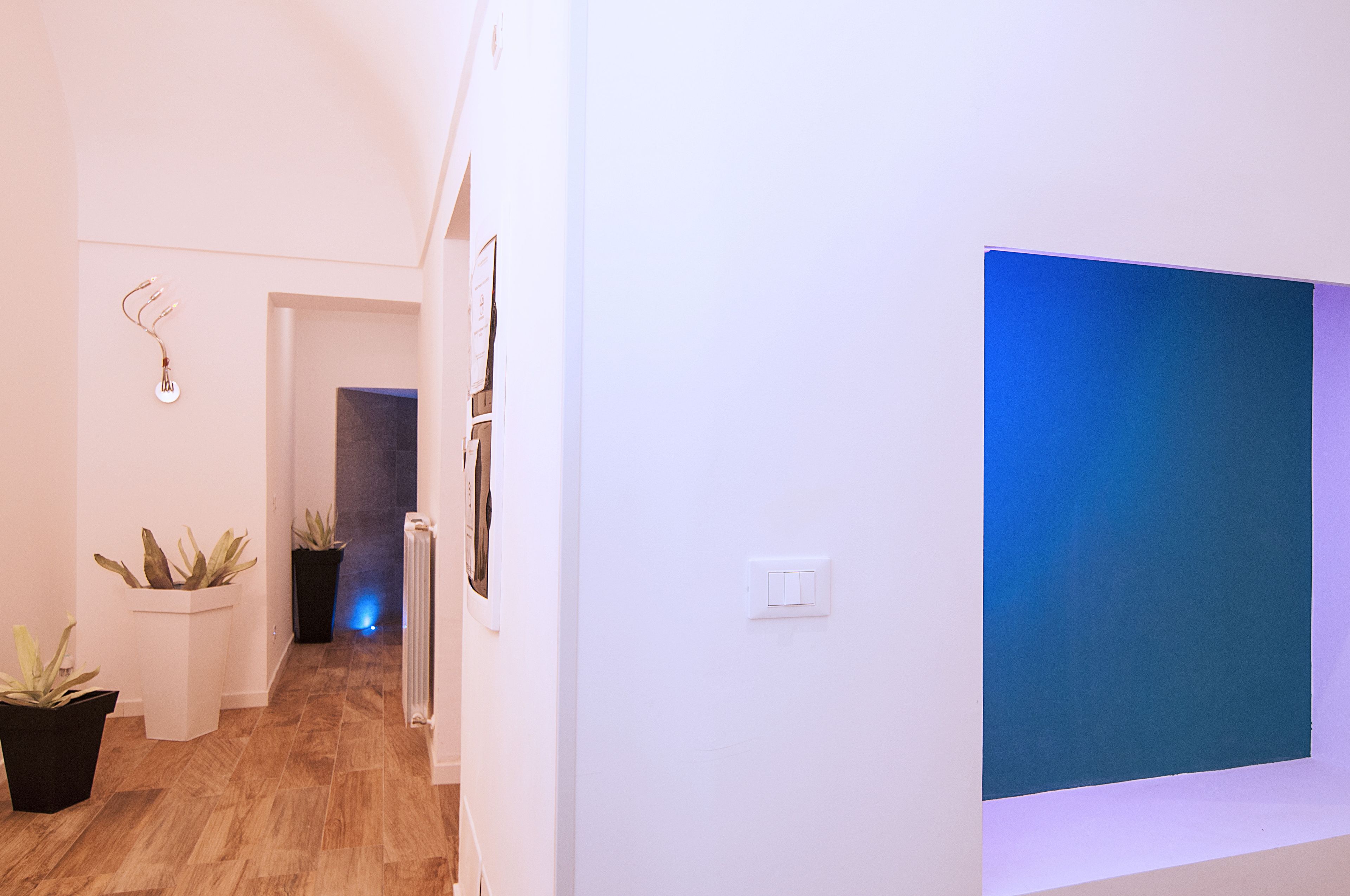 A hallway with a large blue artwork on the right wall, potted plants on the left, and a radiator in the center.