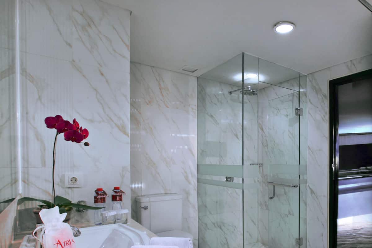 shower, free toiletries, hair dryer, slippers