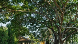 Exterior - Rosario Oasis Resort - SHA Plus (San Sai)