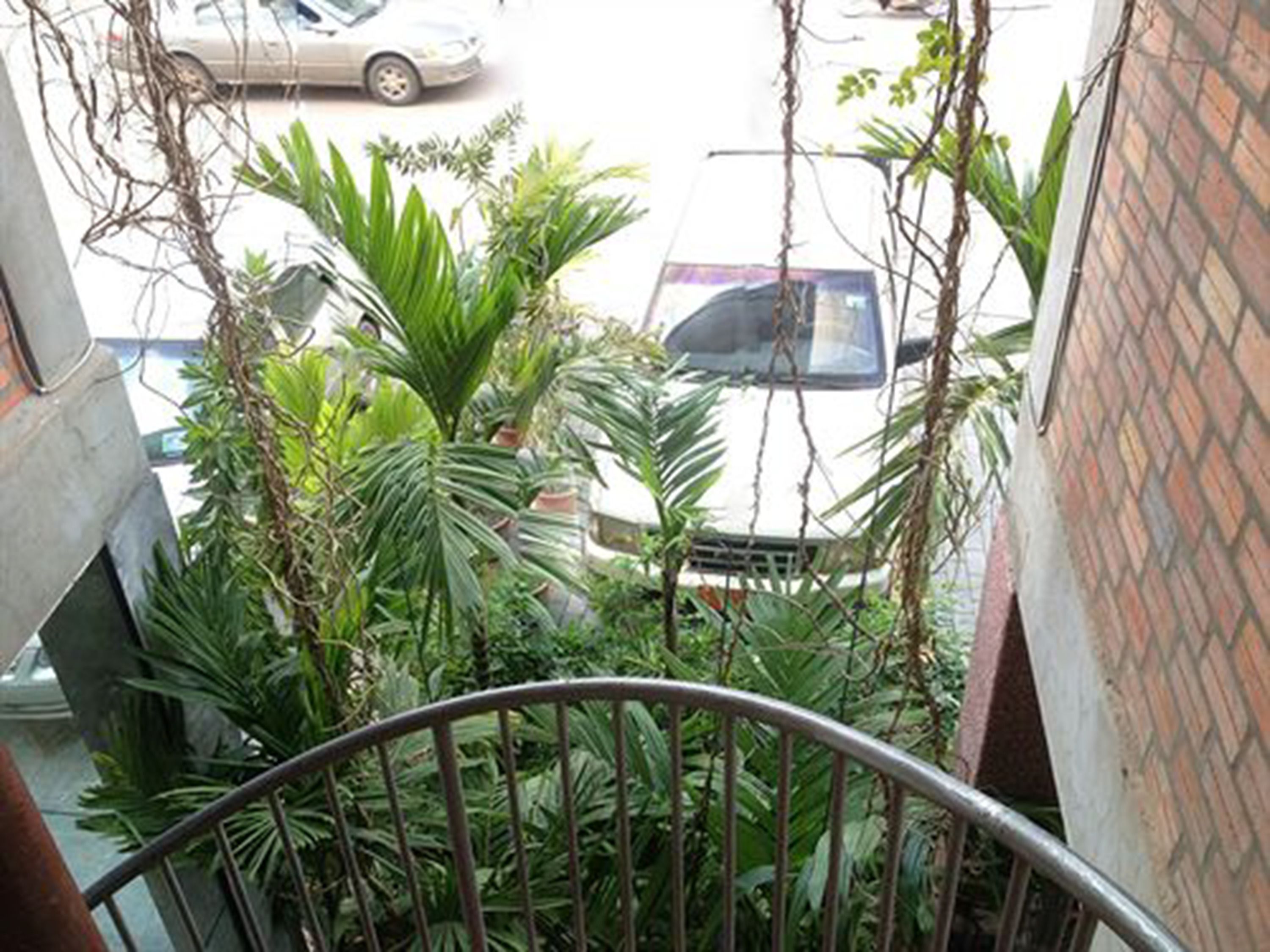 Photo - Naga Angkor Hostel