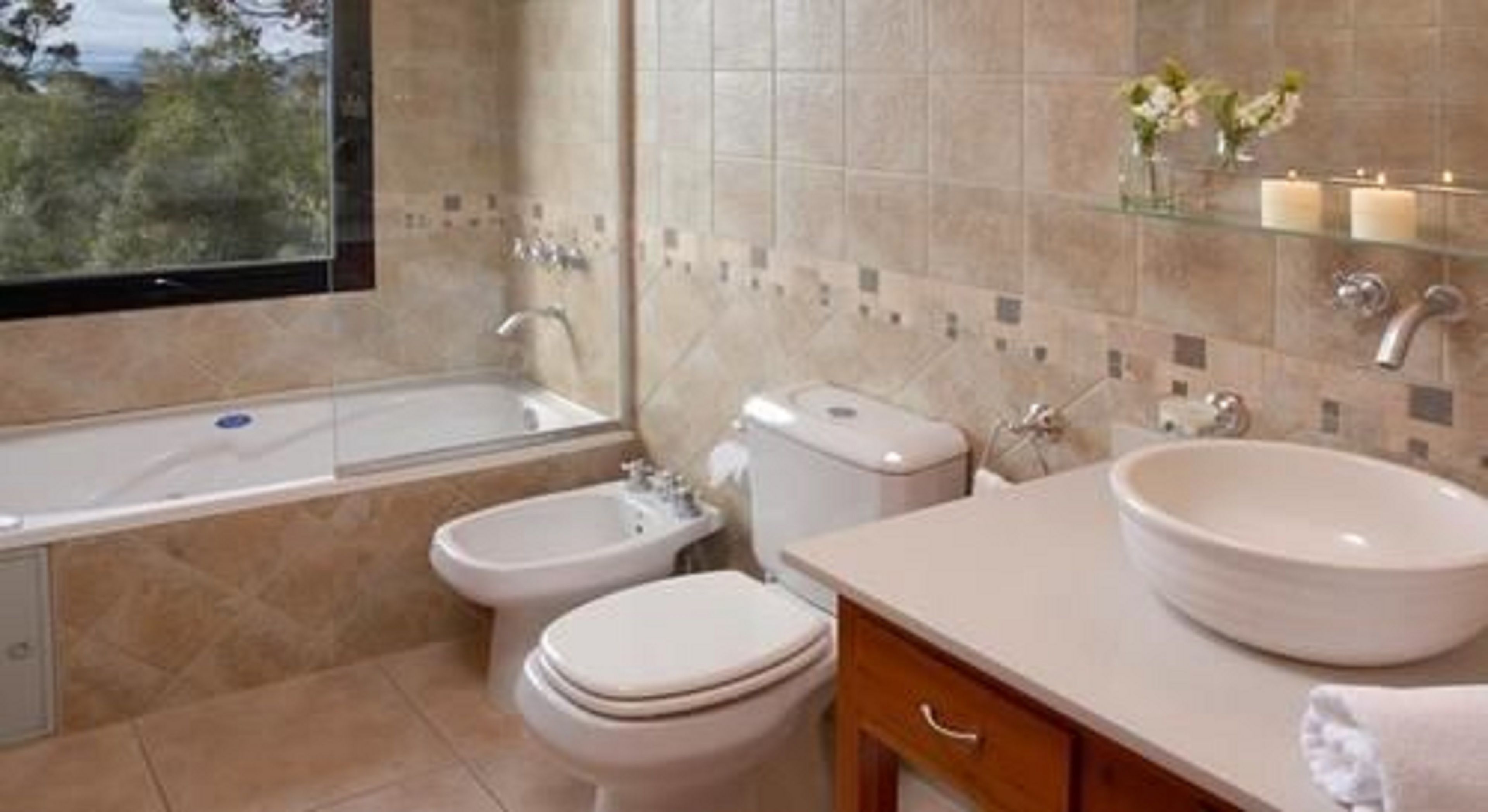deluxe apartment, 2 bedrooms, lake view | bathroom | free toiletries, bidet, towels
