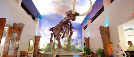 A large dinosaur skeleton in a lobby with a ceiling mural, seating areas, and an exit sign.