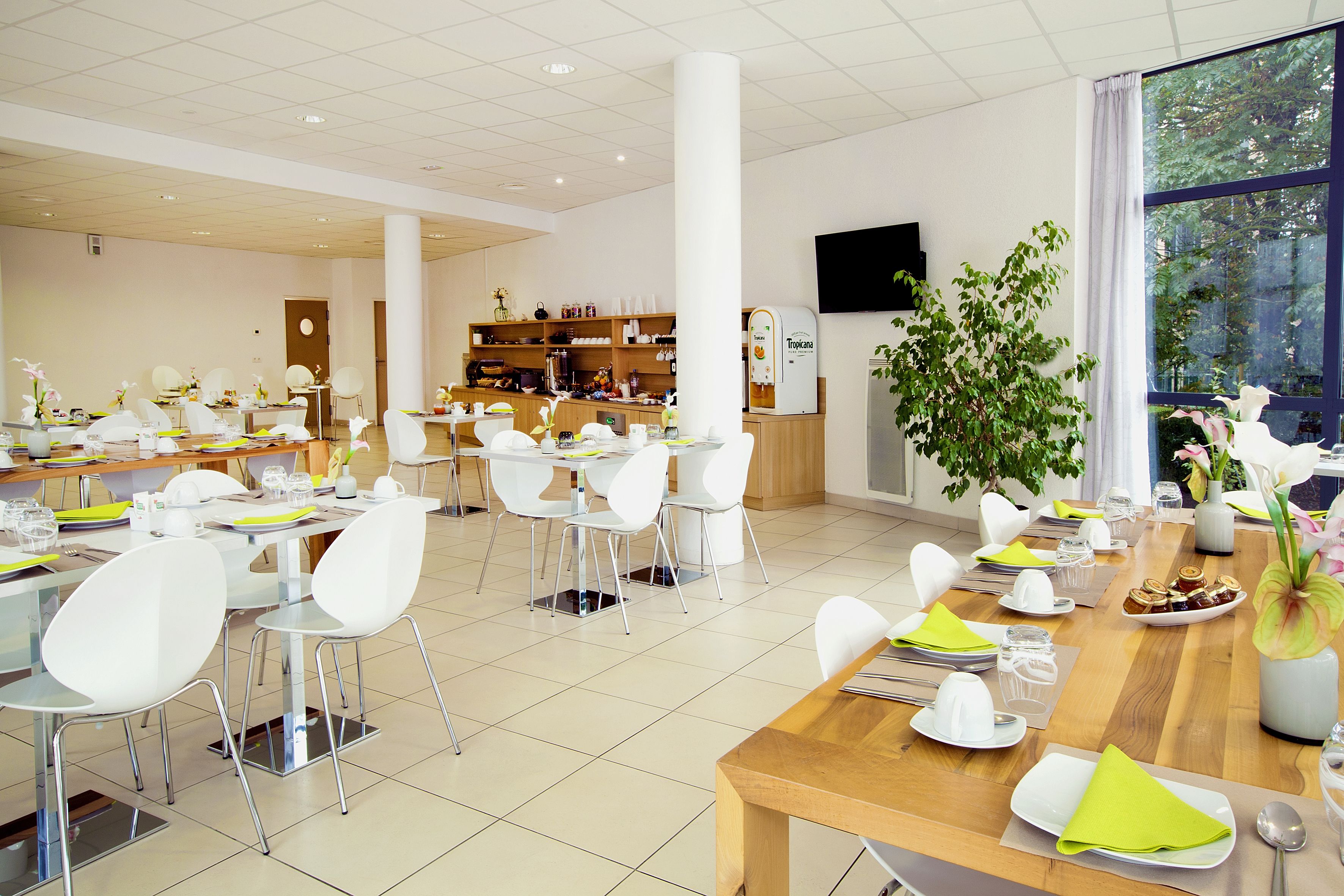 Un espace repas moderne avec des chaises et des tables blanches, une grande plante et une cuisine en arrière-plan.