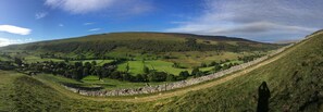 A panoramic view of a green valley with stone walls and scattered trees. - Sweetbriar Cottage B&B and Camping (Skipton)