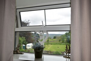 Vista desde la propiedad