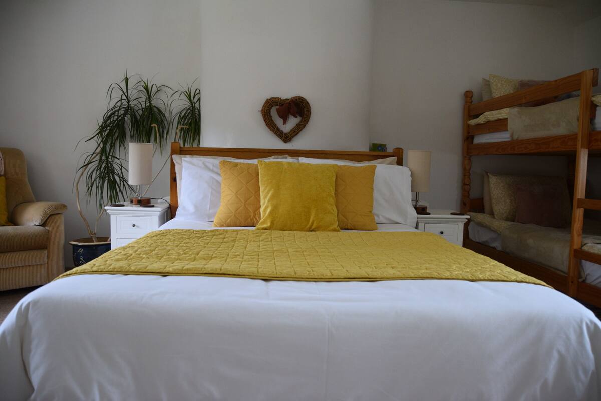 A bedroom with a bed, a nightstand, a lamp, a chair, a plant, and a bunk bed.
