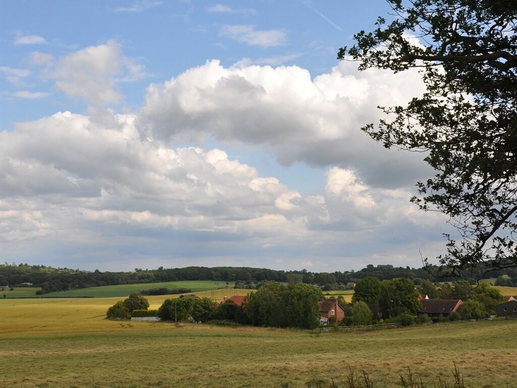 Paesaggio rurale con campi, alberi e case sotto un cielo parzialmente nuvoloso.