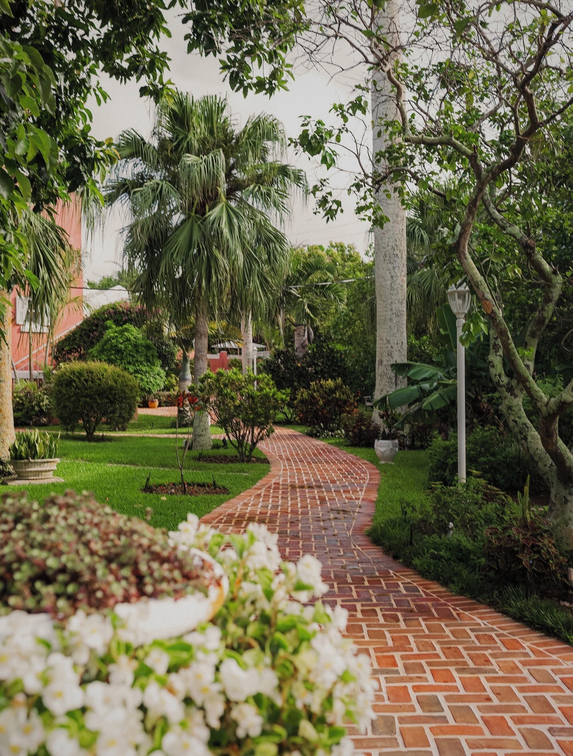 A brick pathway in a garden with palm trees and a lamp post.