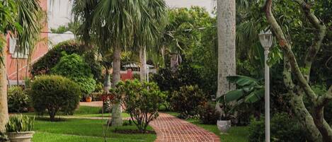 A brick pathway in a garden with palm trees and a lamp post.