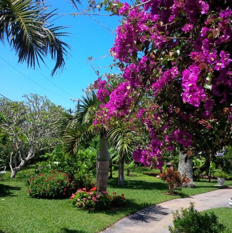 Jardín